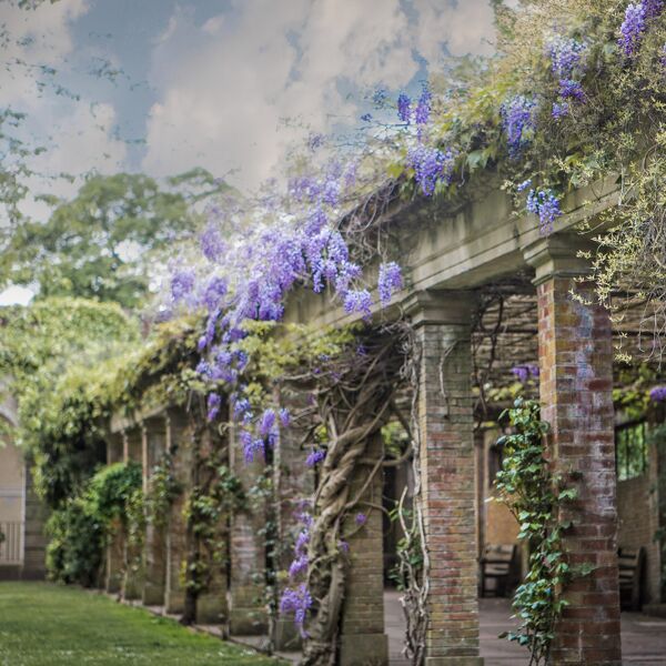 Harrogate Walking Tours