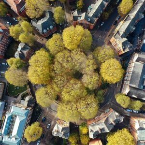 Search For Shoreditch