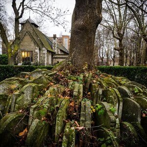 Top 6 London Cemeteries To Visit in 2024