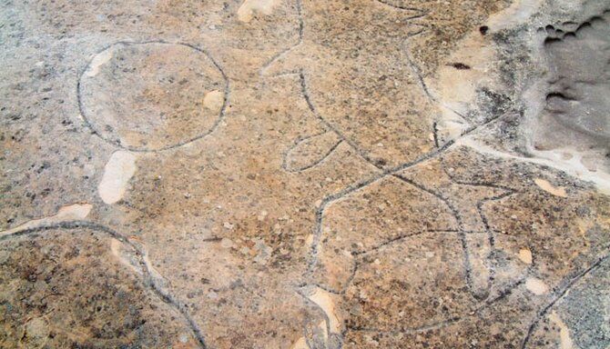 Aboriginal Rock Engravings