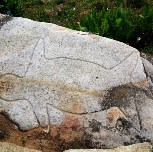 Aboriginal Rock Engravings 3