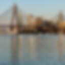 Blackwattle Bay Park