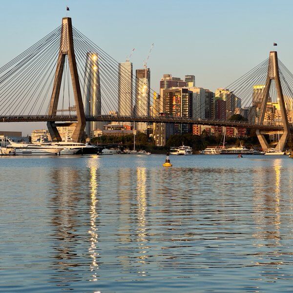Blackwattle-Bay-Park_ANZAC-bridge-view