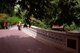 Bow Bridge Central Park