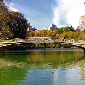 Bow Bridge Central Park