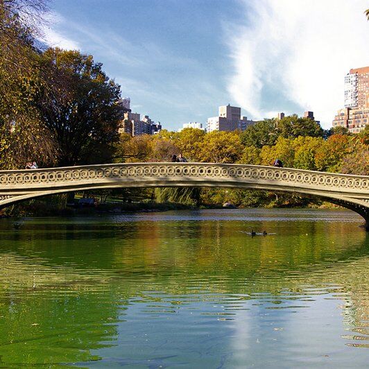 Bow Bridge Central Park 5