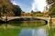 Bow Bridge Central Park