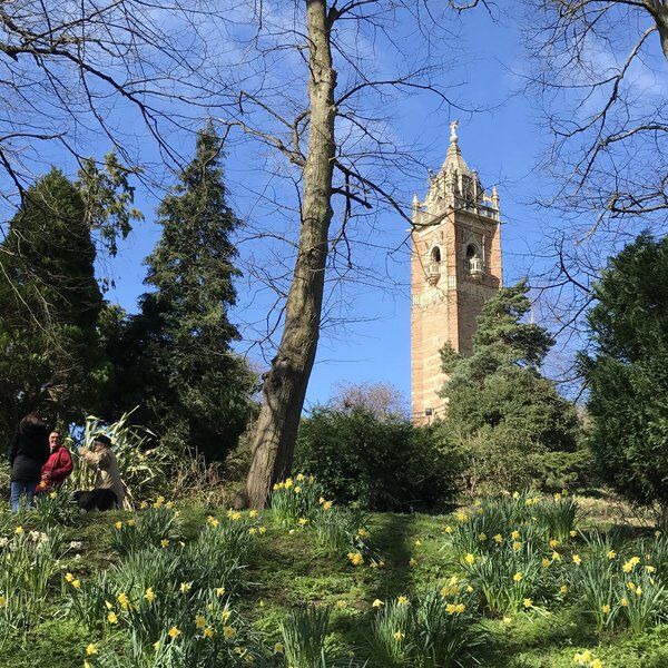 Cabot Tower 1