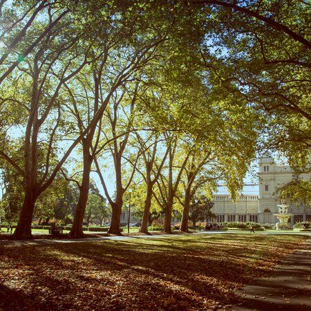 Carlton Gardens 8