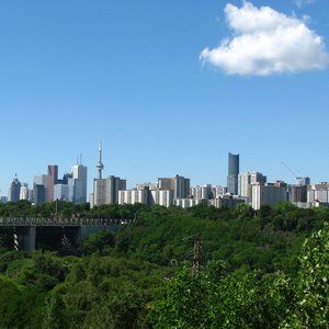 Chester Hill Lookout