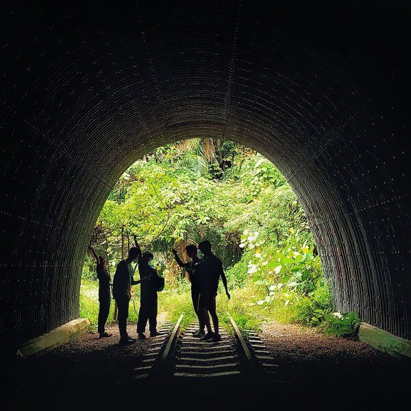 Clementi Forest