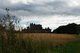 Craigmillar Castle