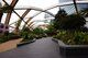 Crossrail Place Roof Garden