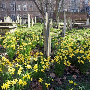 Bunhill Fields