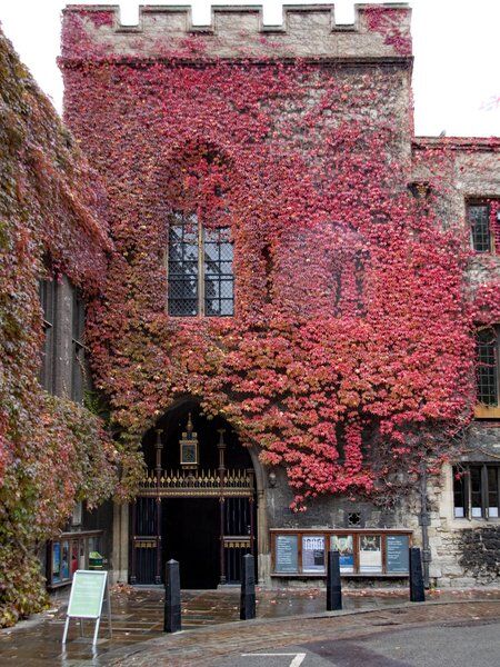 Dean’s Yard 6