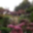 Duck Island Cottage 4