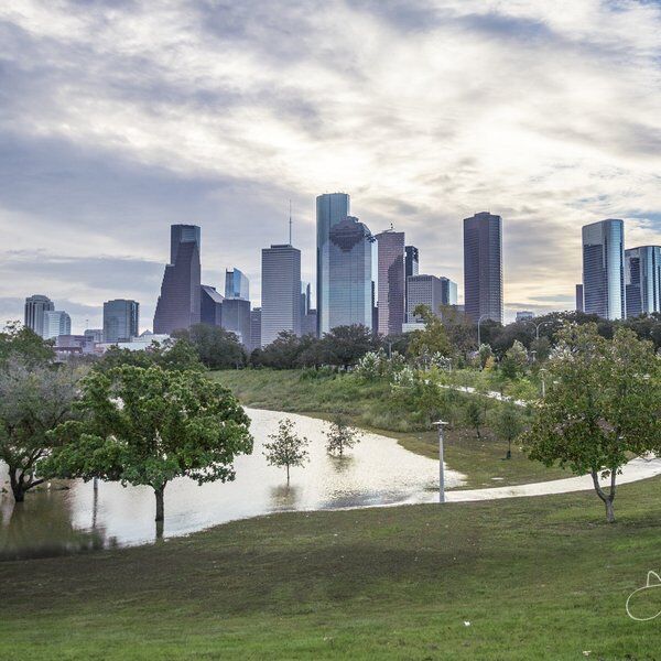 Eleanor Tinsley Park 6