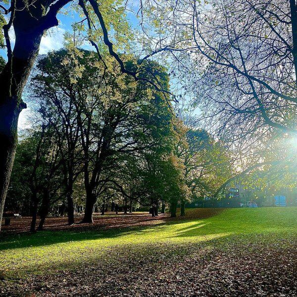 Endcliffe Park.jpg