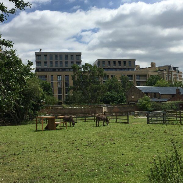 Hackney City Farm 10