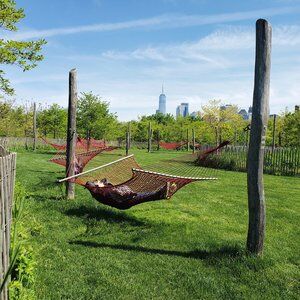 Hammock Grove