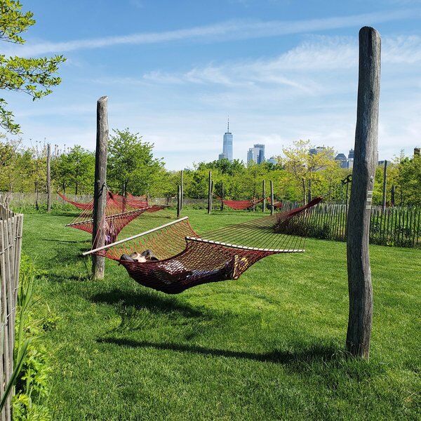 Hammock Grove 2