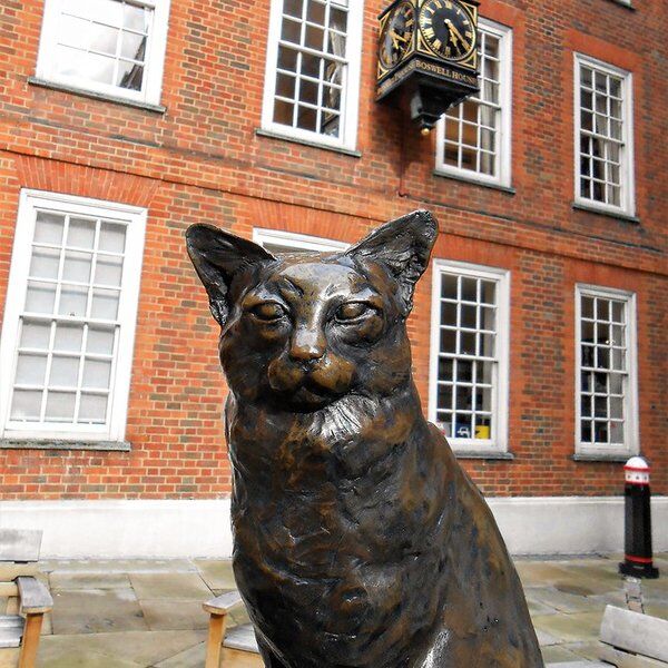 Hodge-the-cat-London_01