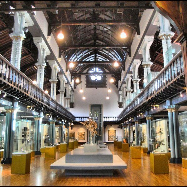 Hunterian Museum 3
