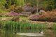 Isabella Plantation