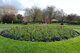 Iveagh Gardens