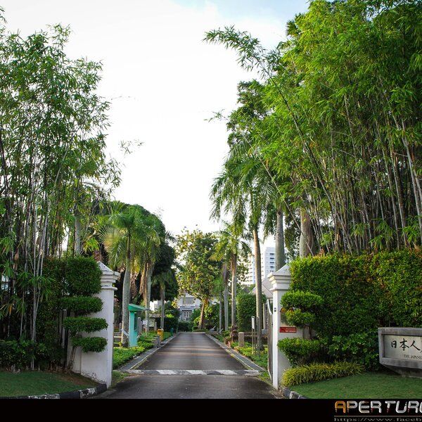 Japanese-cemetery-park-1