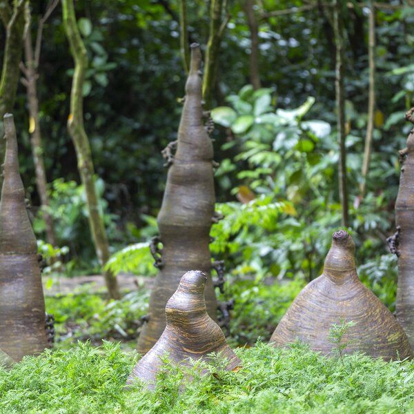 Jurong Eco-Garden