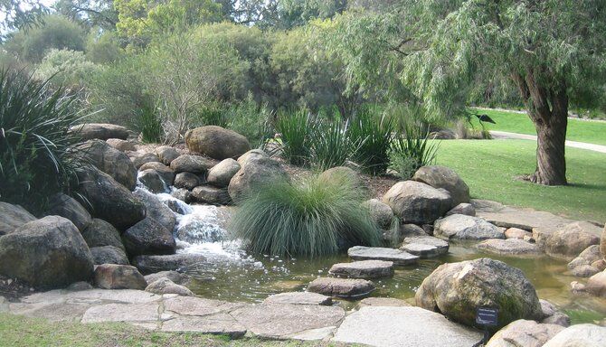 Kings Park and Botanic Garden