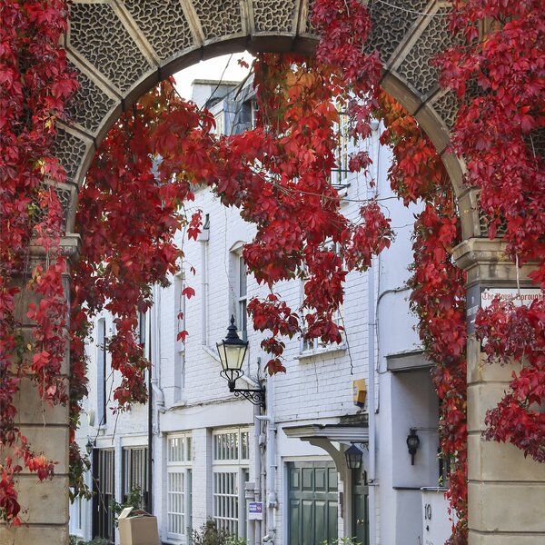 Kynance Mews 8