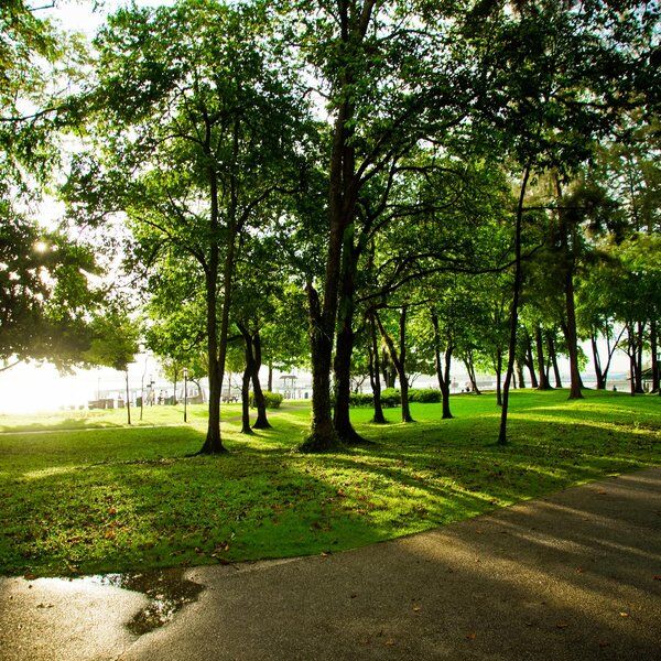 Labrador Park 1