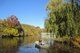 Loeb Boathouse