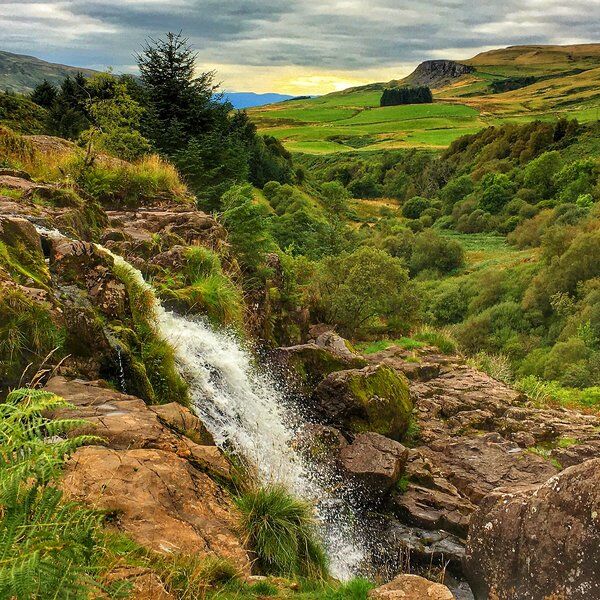 Loup of Fintry