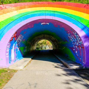 Moccasin Trail Park