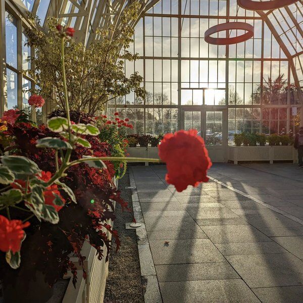 National Botanic Gardens 1.jpg