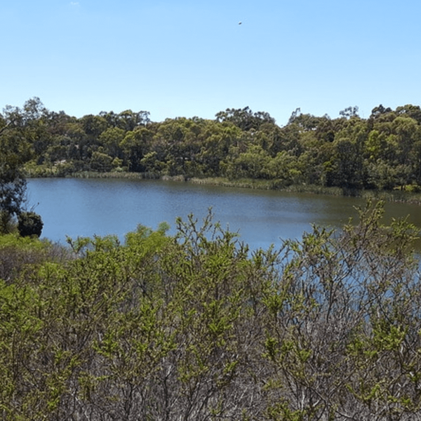 NewportLakes-2