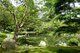 Nitobe Memorial Garden