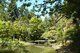 Nitobe Memorial Garden