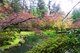 Nitobe Memorial Garden