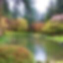 Nitobe Memorial Garden 7