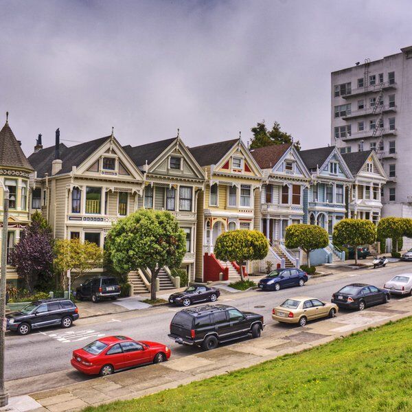 Painted Ladies