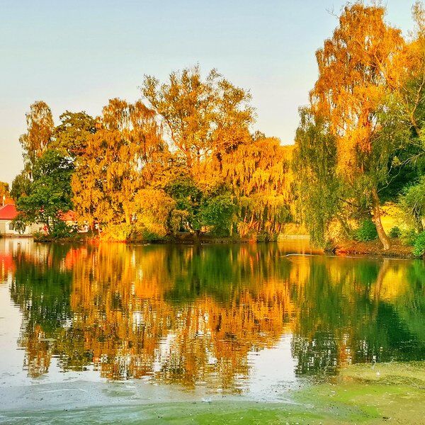Rouken Glen Park 11