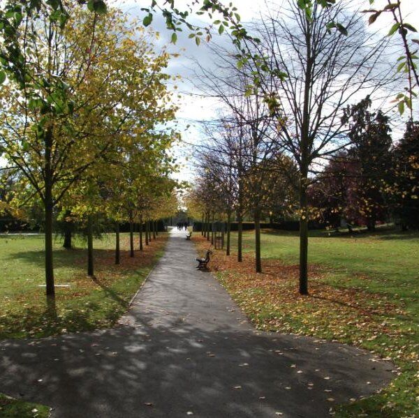 Rowntree Park 6