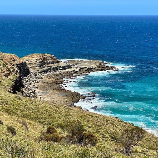 Royal National Park Walks 1