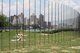 Socrates Sculpture Park