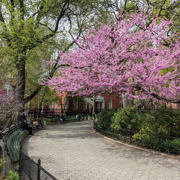 Stuyvesant Square Park 6