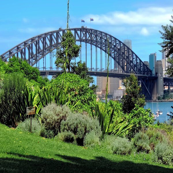 Wendy Whiteley’s Secret Garden